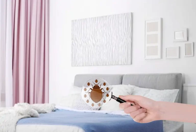 Get Rid of Bed Bugs: Why Use Bed Bug Experts vs General Pest Control Exterminators
