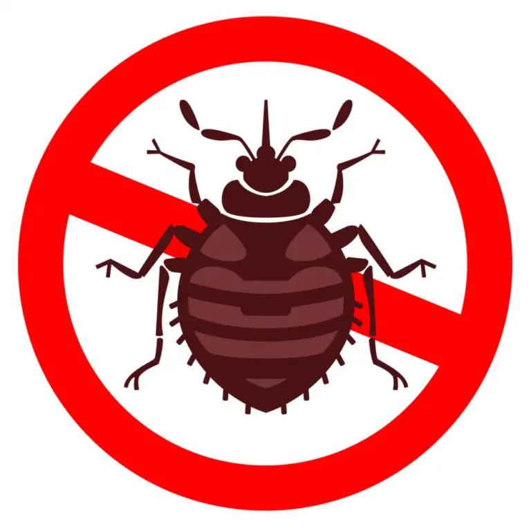 How to Estimate Bed Bug Extermination Cost