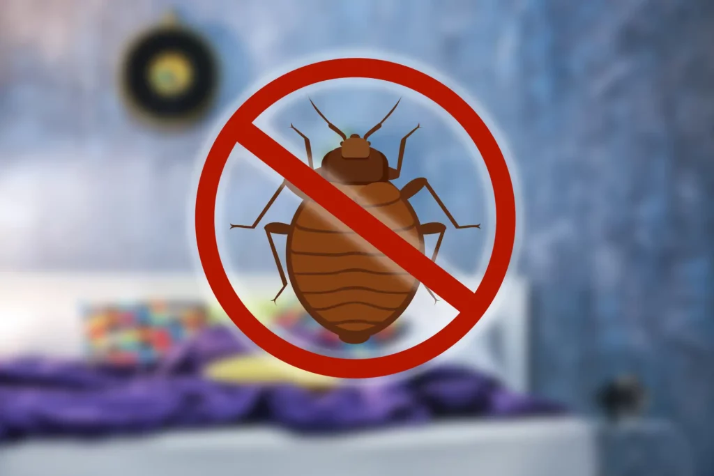2_HeatRX_Will-You-Know-You-Have-Bed-Bugs-Immediately_IMAGE2