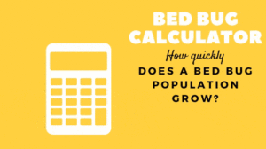 Bed-Bug-Calculator