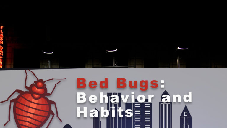 Bed Bugs: Behavior and Habits