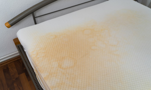 See dark spots on the mattress's box spring or mattress.