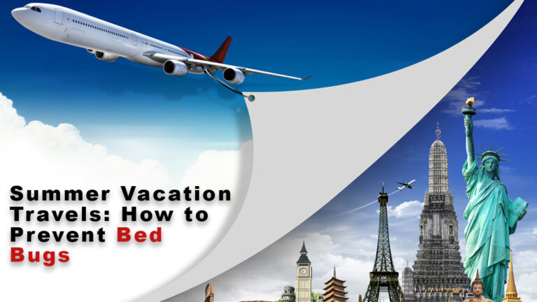 Summer Vacation Travels: How to Prevent Bed Bugs