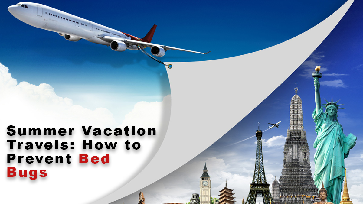 Summer Vacation Travels- How to Prevent Bed Bugs