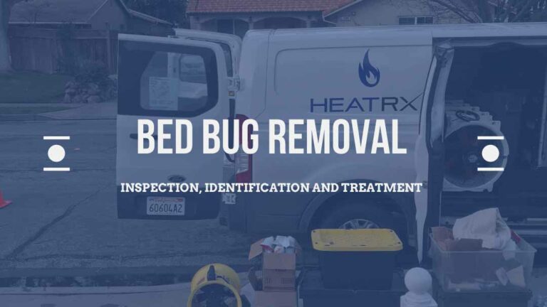 Bed Bug Removal – Inspection, Identification & Treatment