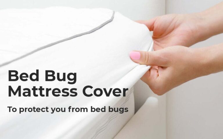 Bed Bug Mattress Cover To Keep You Protected