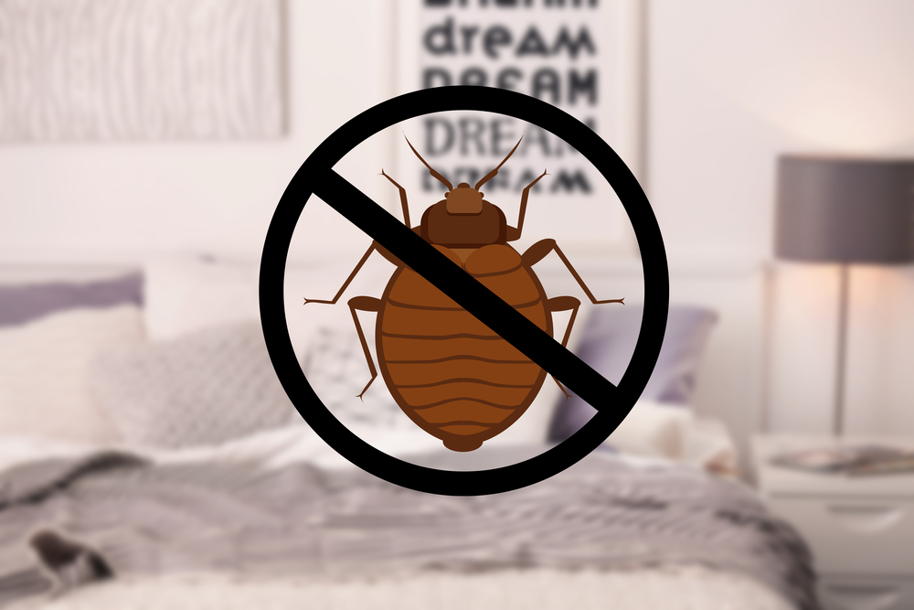 Stop bug sign and clean bed in room SAN JOSE CA
