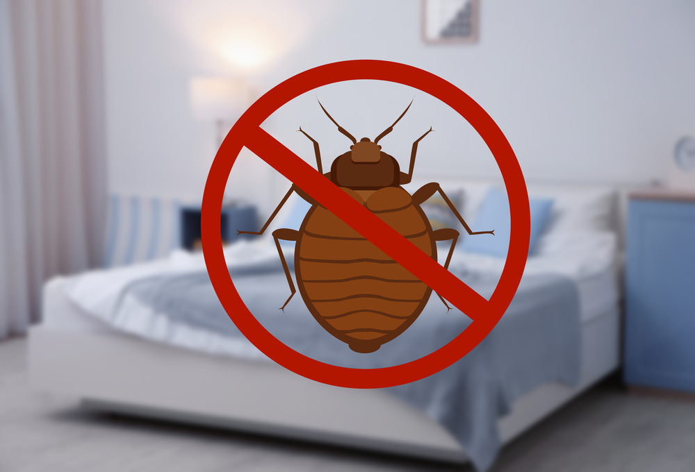 Stop bug sign and clean bed in room sacramento