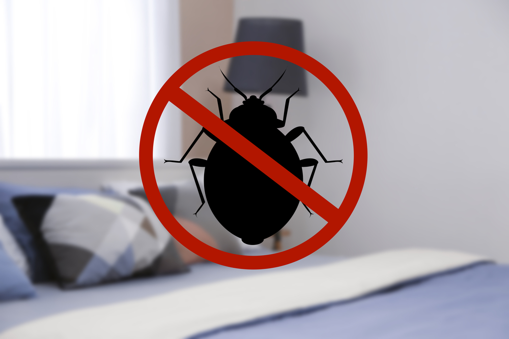 bed bug killer and prevention sacramento