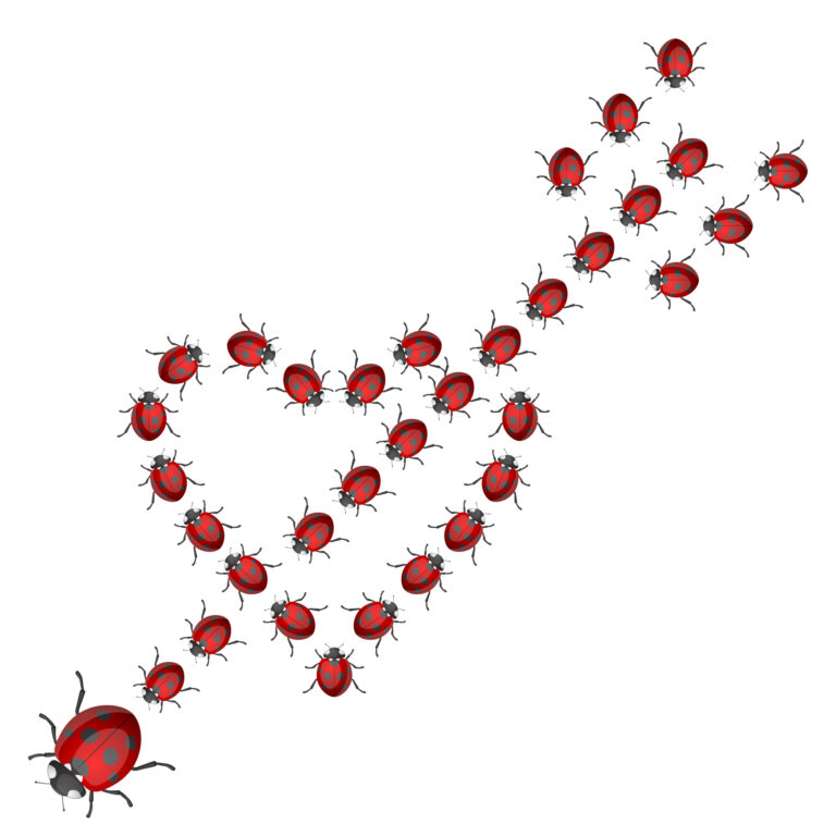 Being Visited by Bed Bugs vs Love Bugs