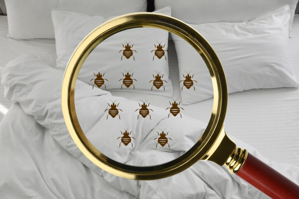 Magnifying glass detecting bed bugs in bedroom in San Francisco