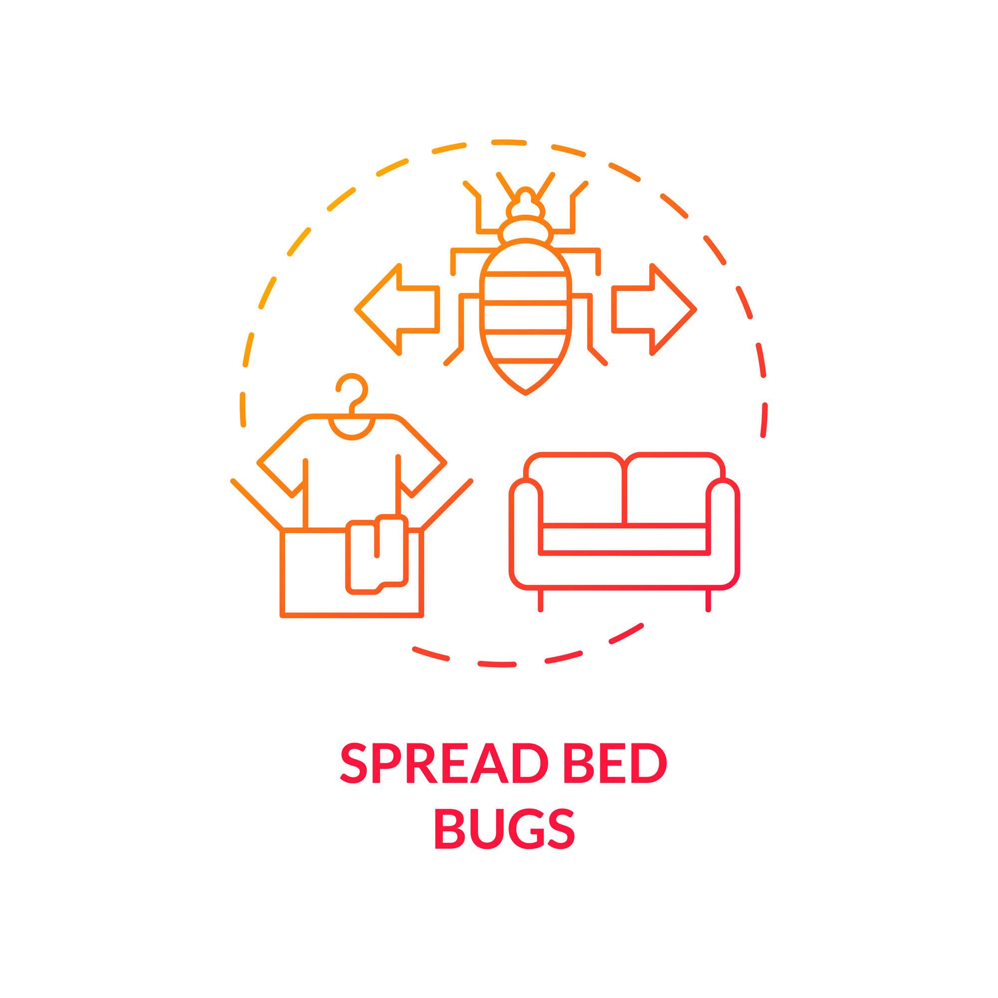 pest control bed bugs cycle