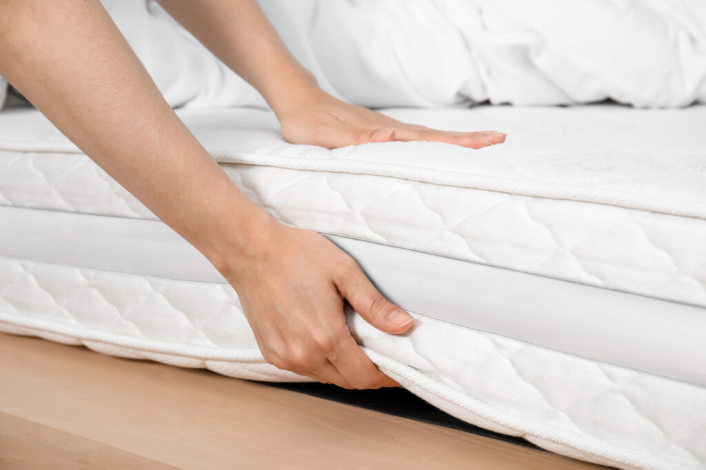 keep mattress clean for bed bug free home in san francisco