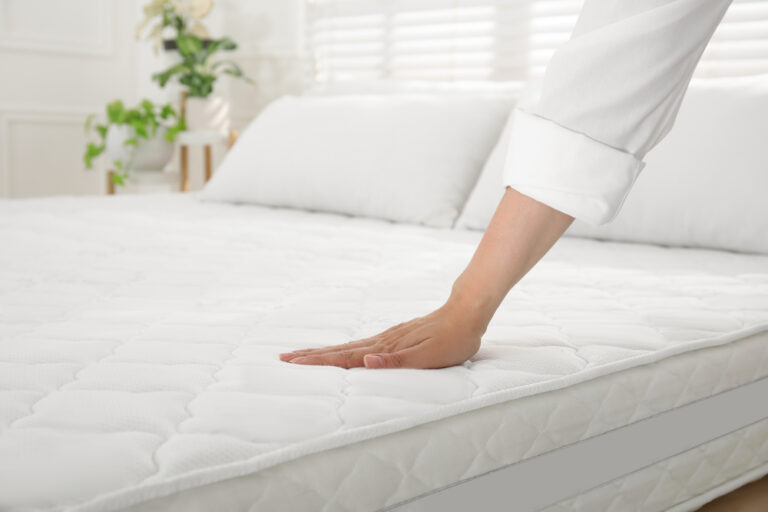 bed bugs in mattress in san jose ca