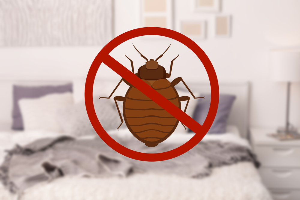 stop bed bugs in sacramento