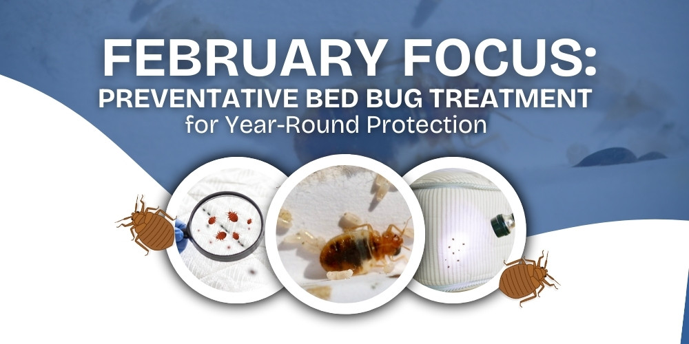 February Focus- Preventative Bed Bug Treatment for Year-Round Protection