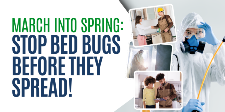 March into Spring Stop Bed Bugs Before They Spread! (Title)