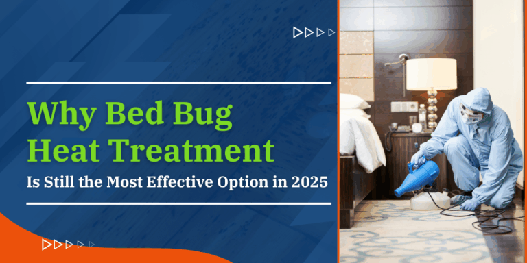 Why Bed Bug Heat Treatment Is Still the Most Effective Option in 2025