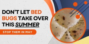 Dont Let Bed Bugs Take Over This Summer—Stop Them in May (featured image)