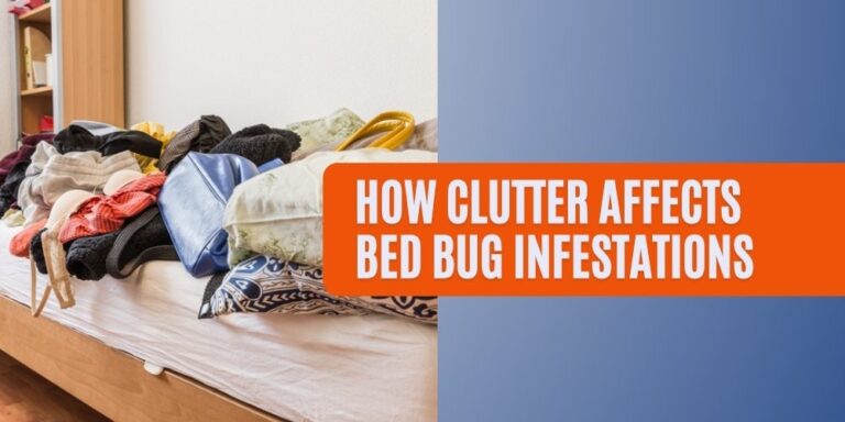 How Clutter Affects Bed Bug Infestations